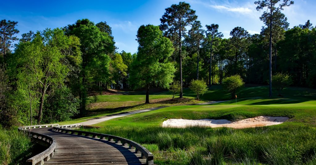 Golf course with bunkers