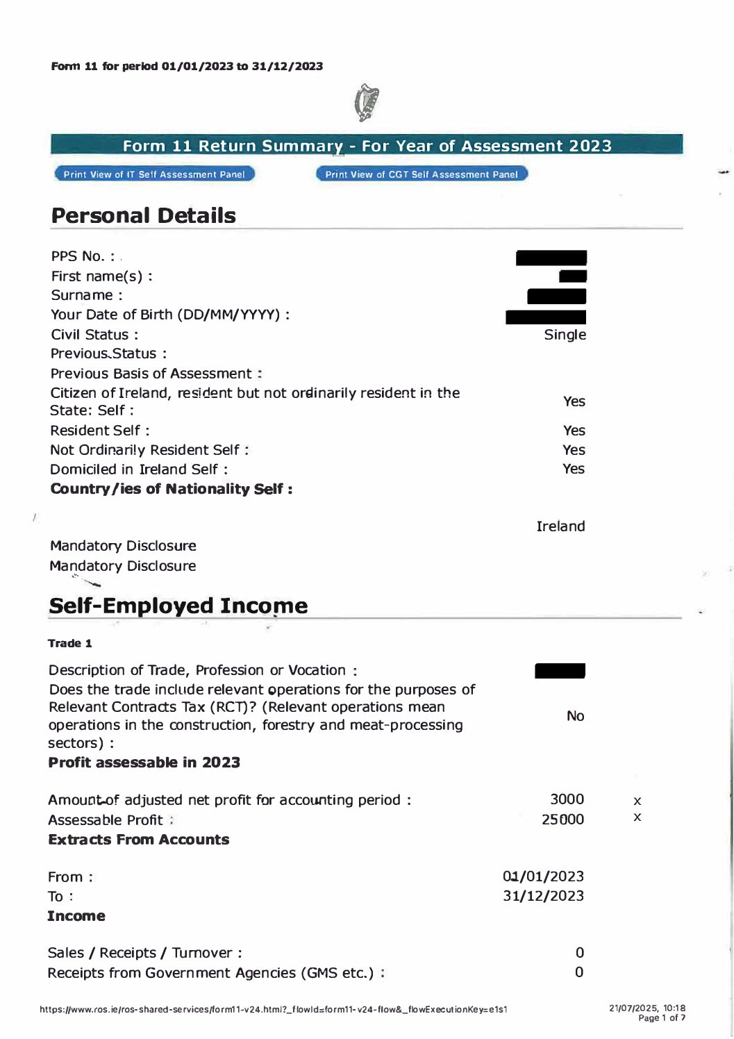 Don't Do Your Own Tax Return